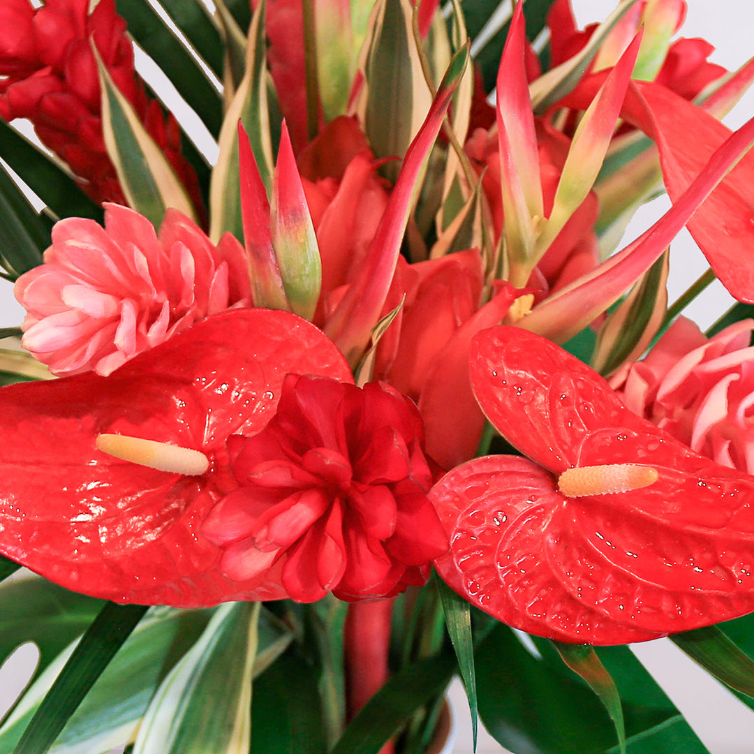 HAWAIIAN LOVE