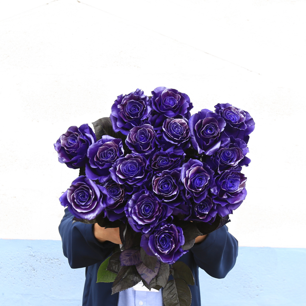 PURPLE STRAVAGANZZA