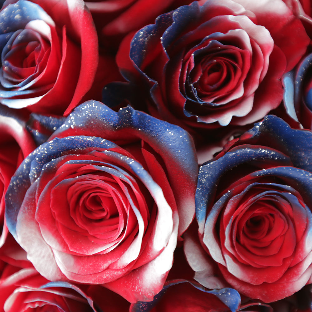 ALL-AMERICAN BEAUTY