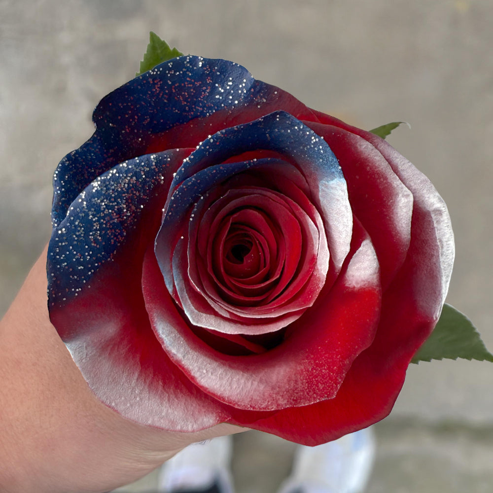 ALL-AMERICAN BEAUTY