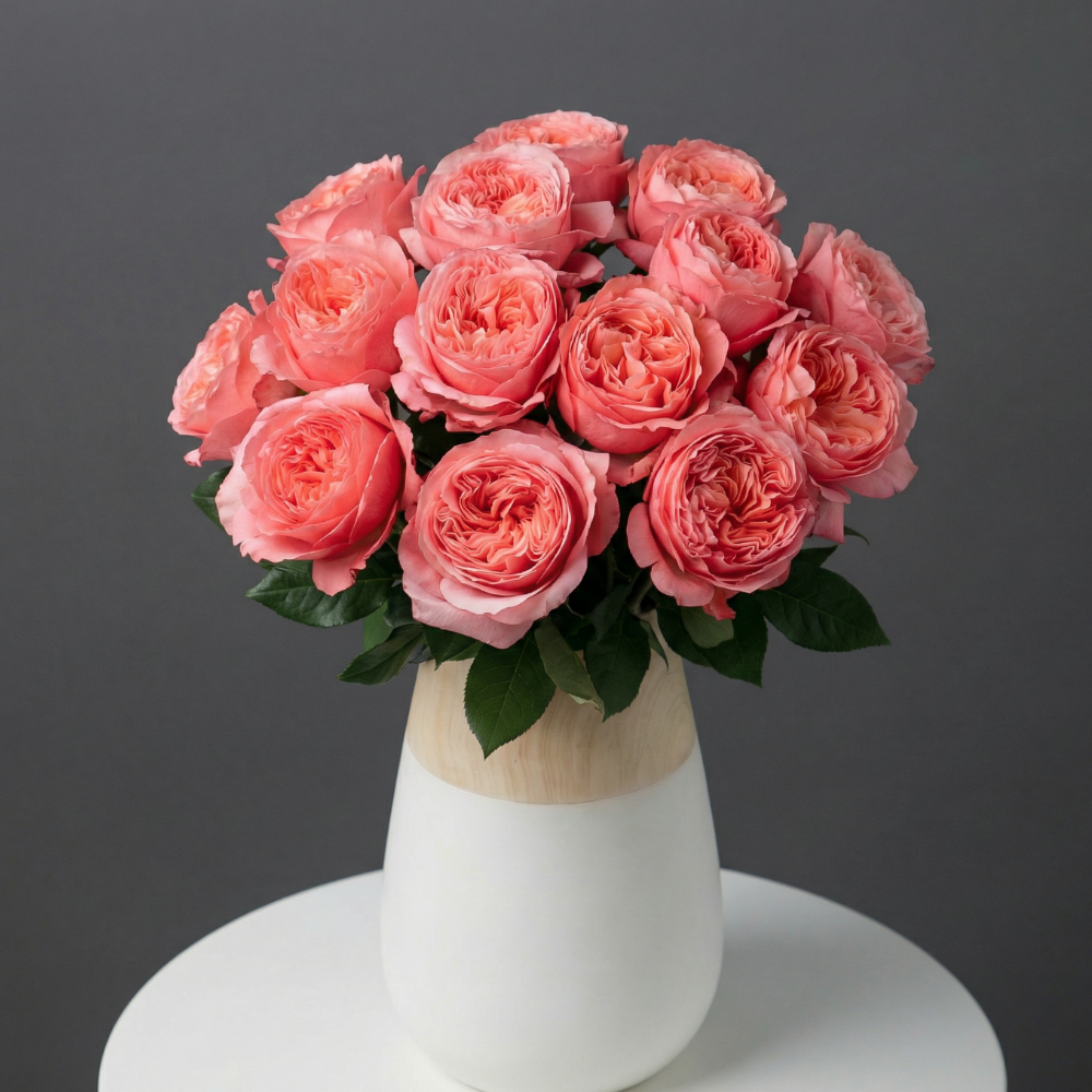 PEONY BEAUTY