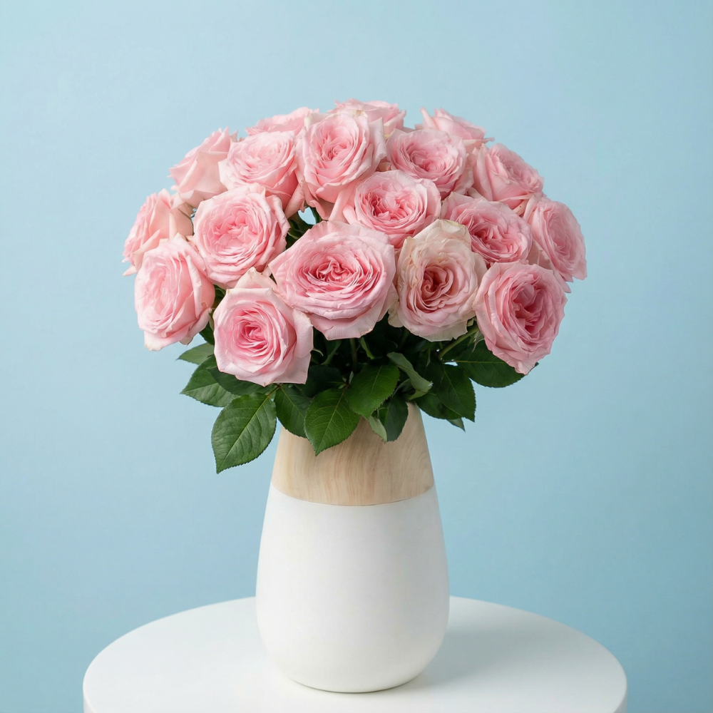 PINK SERENADE