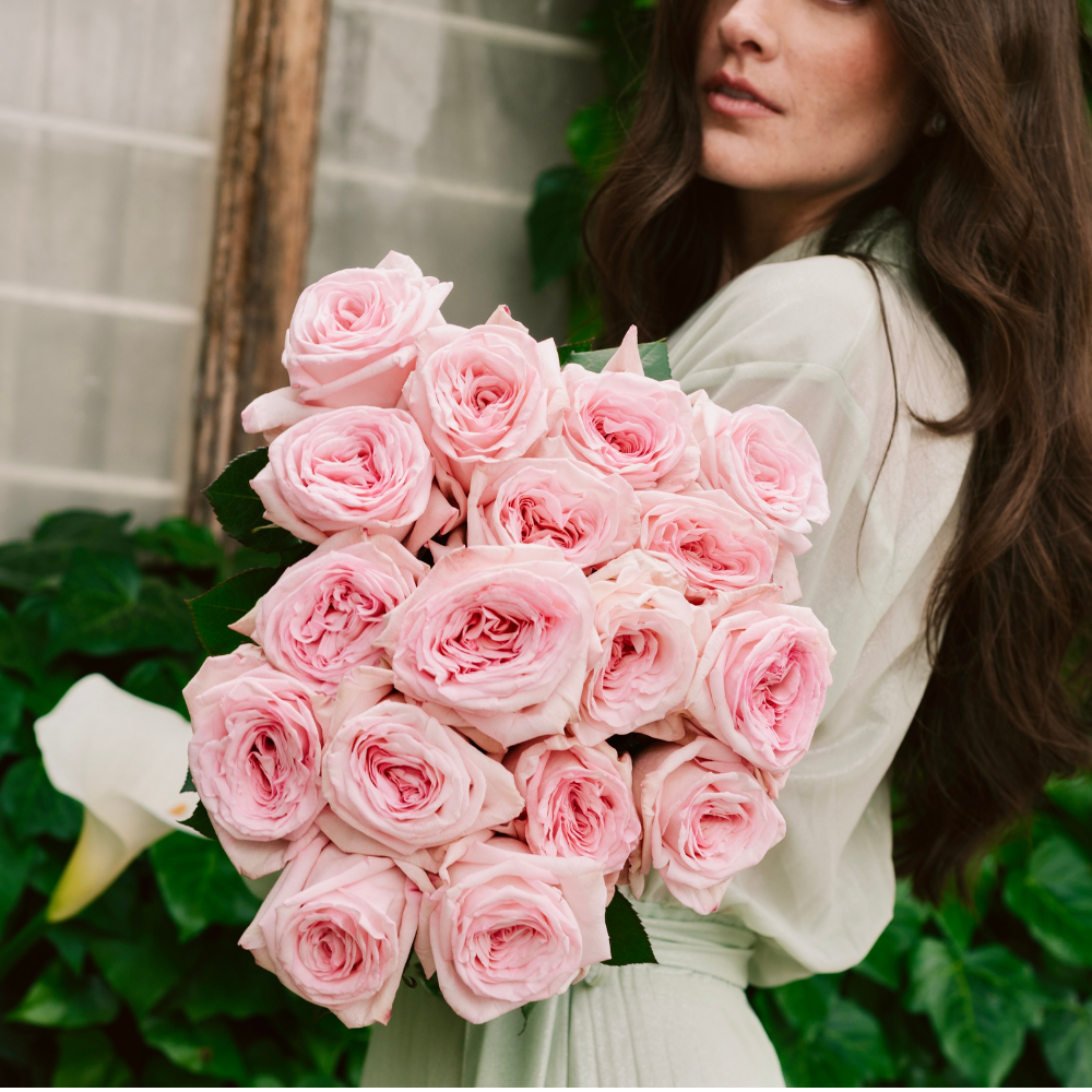 PINK SERENADE
