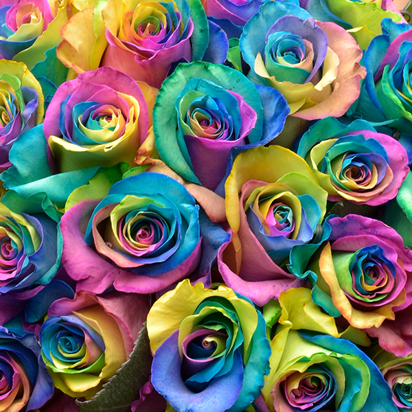 RAINBOW