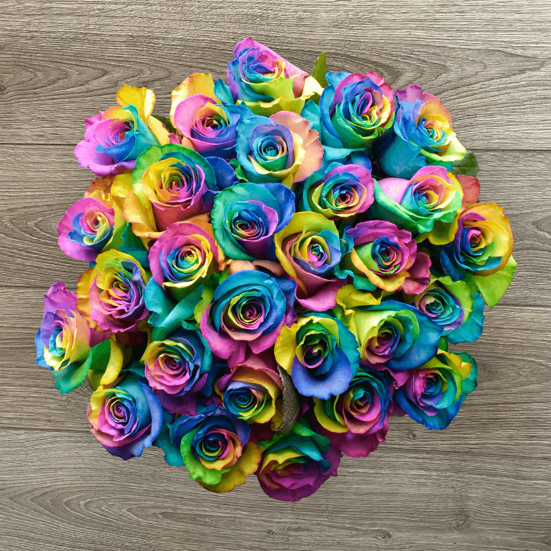 RAINBOW
