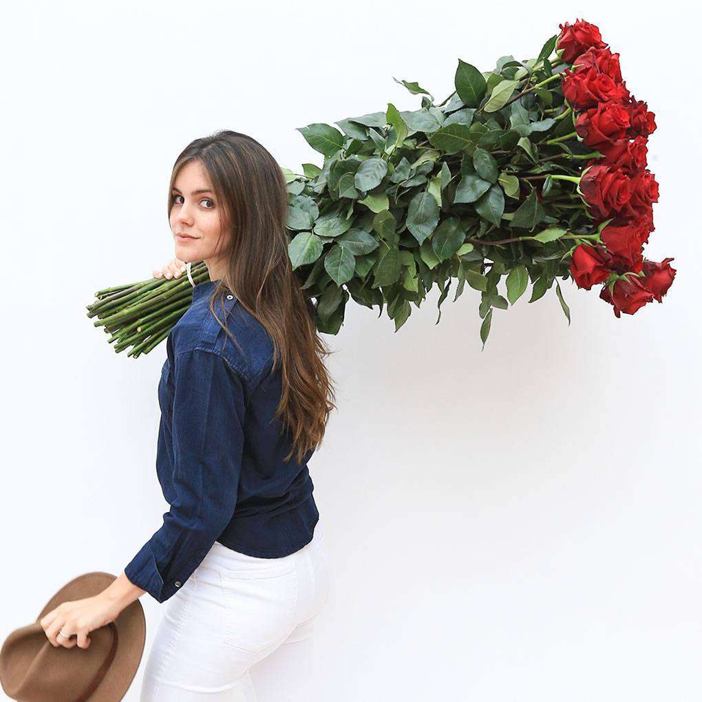 LONG ROSES