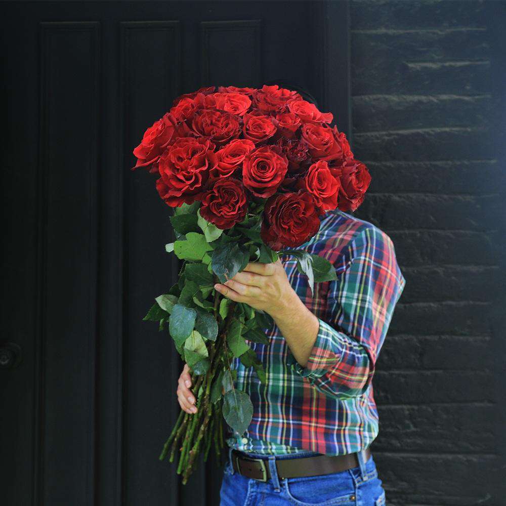 LONG ROSES