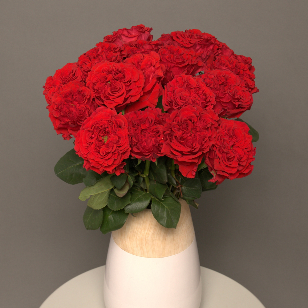 RUBY IMPERIAL