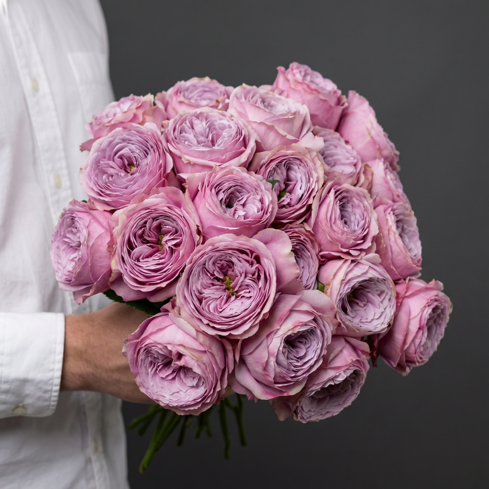 VINTAGE PEONY