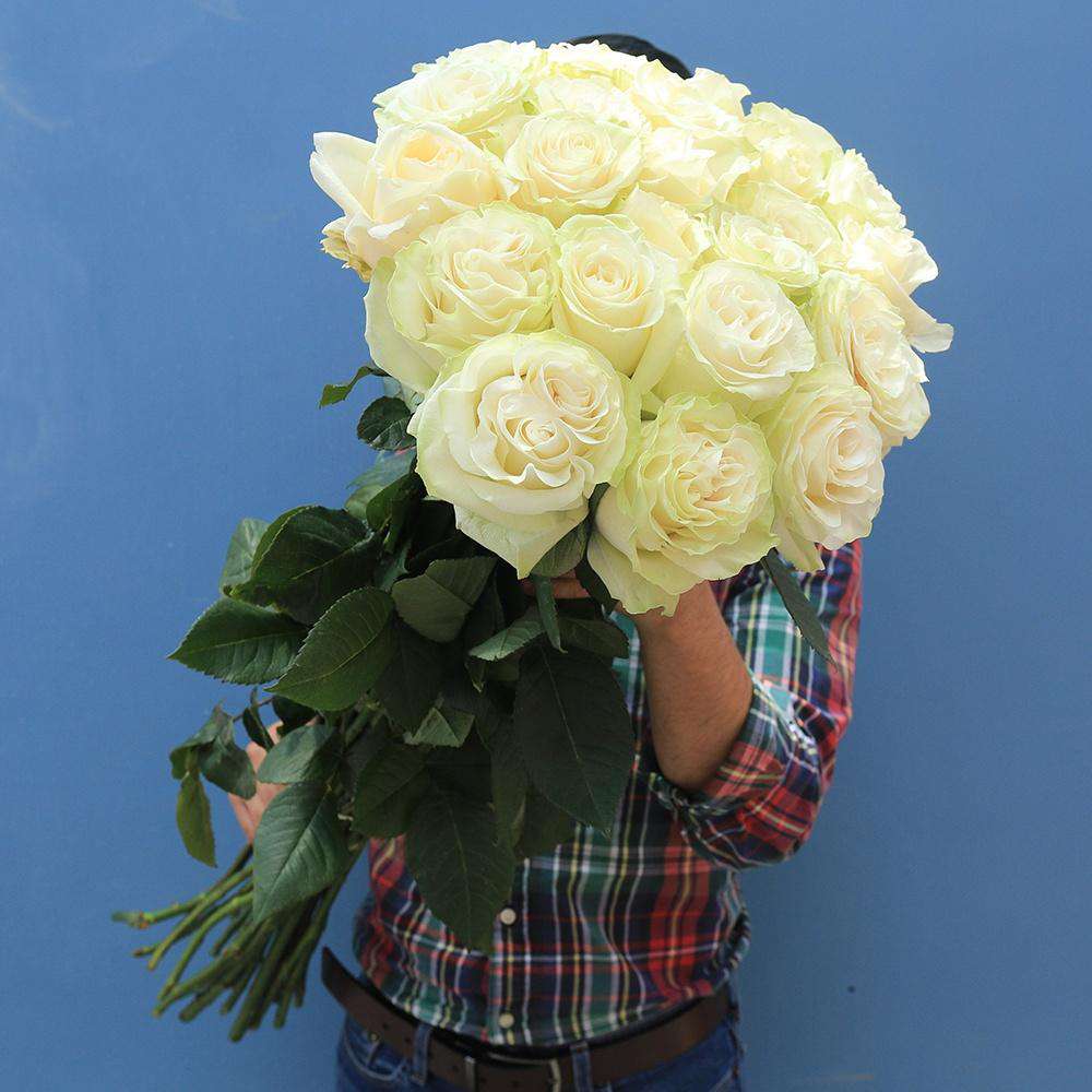 LONG ROSES