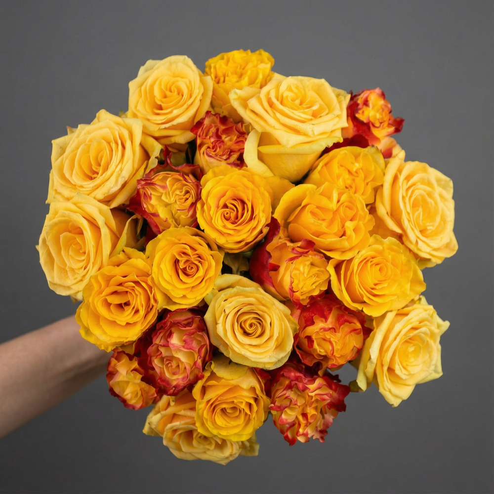 YELLOW EXPLOSION