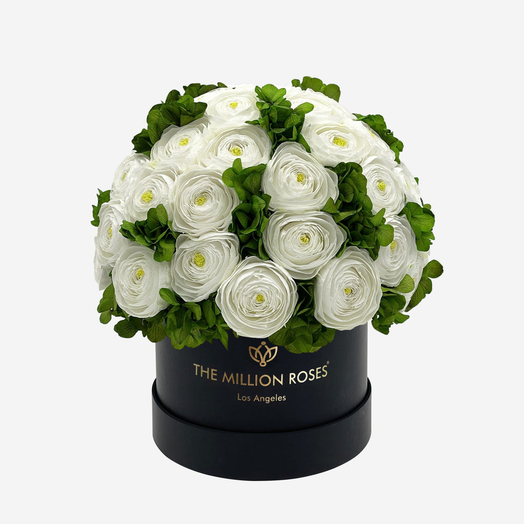 Classic Black Box | White Persian Buttercups & Green Hydrangeas