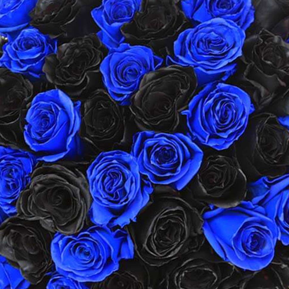 INDIGO IMPACT