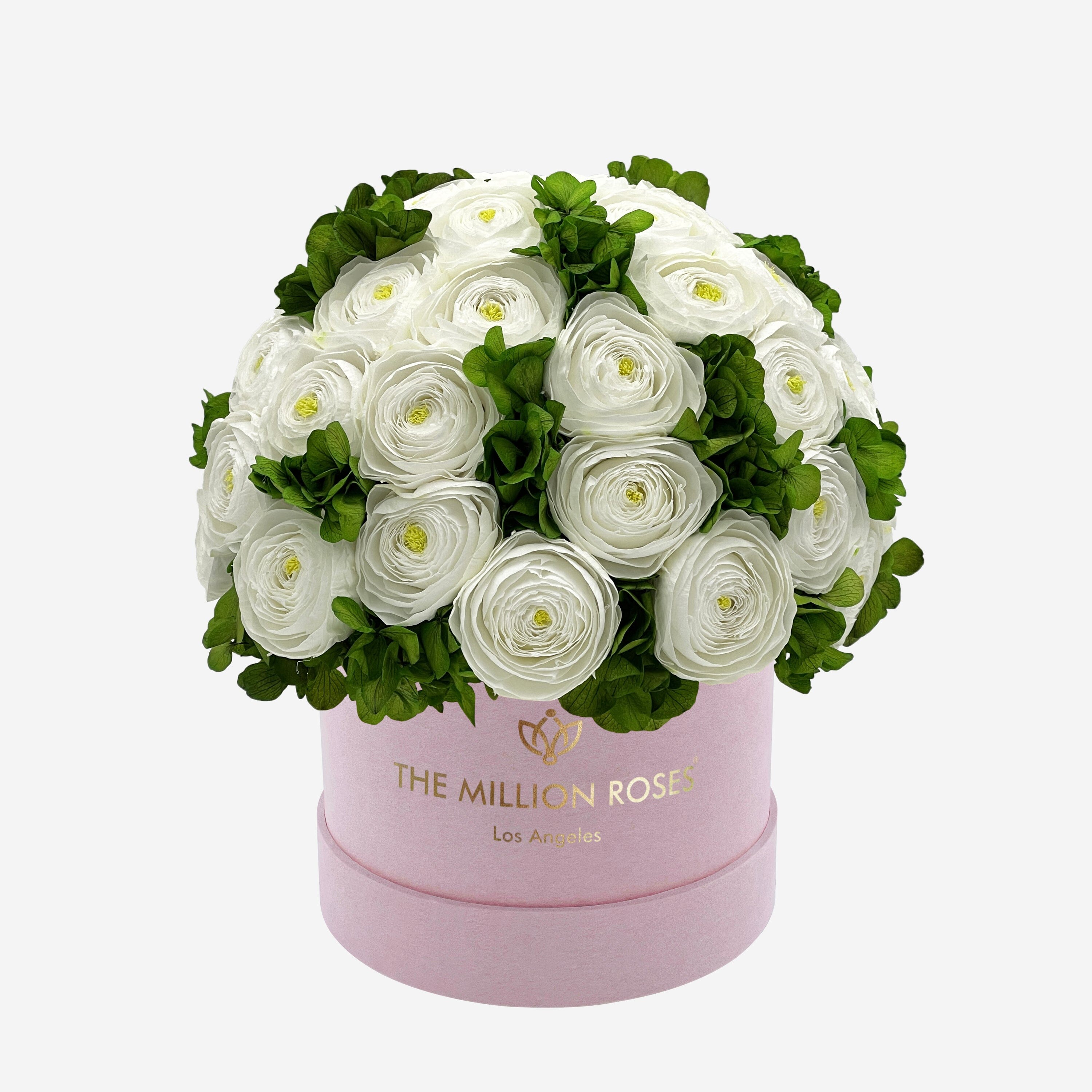 Classic Light Pink Suede Box | White Persian Buttercups & Green Hydrangeas