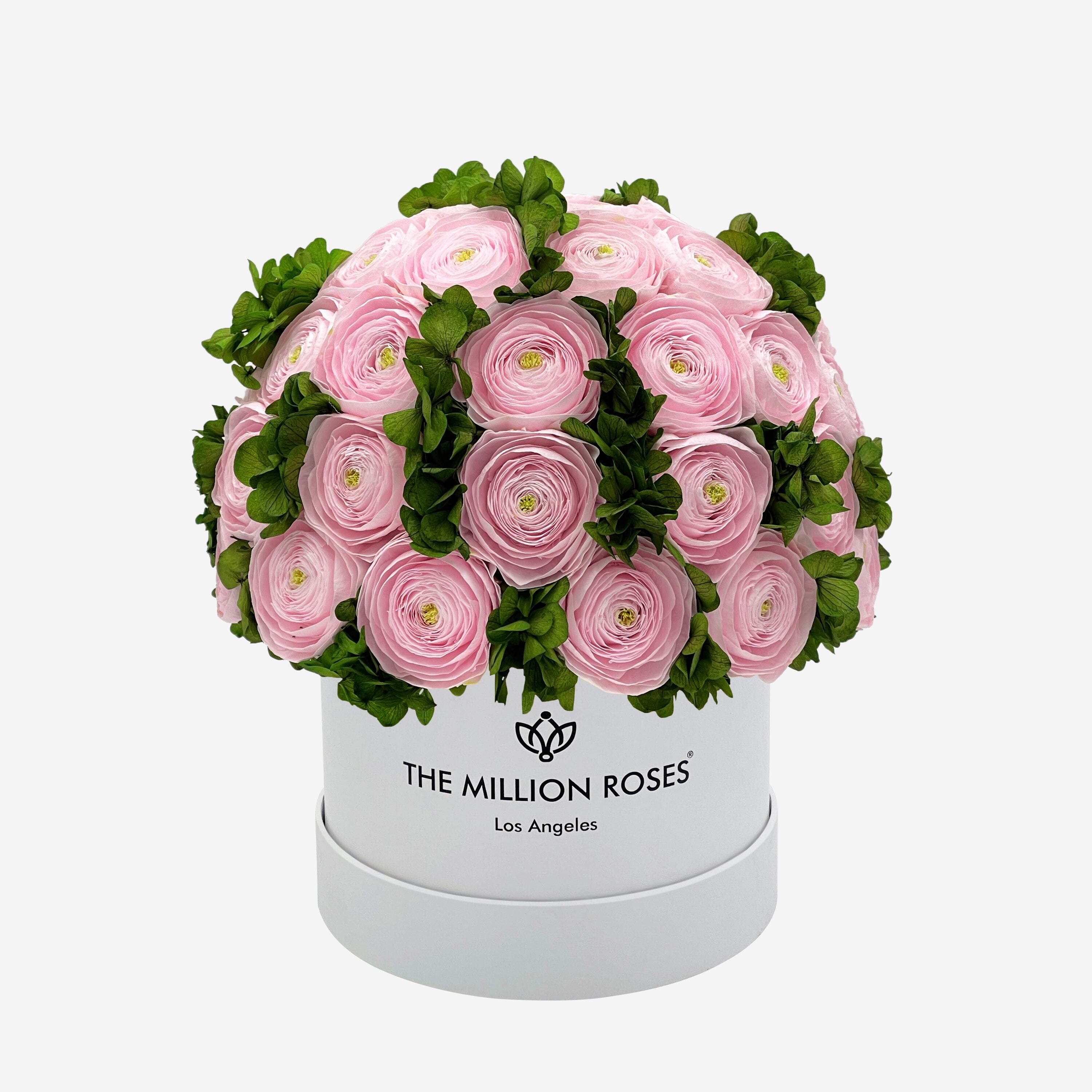 Classic White Box | Light Pink Persian Buttercups & Green Hydrangeas
