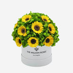 Classic White Box | Green Hydrangeas & Sunflowers